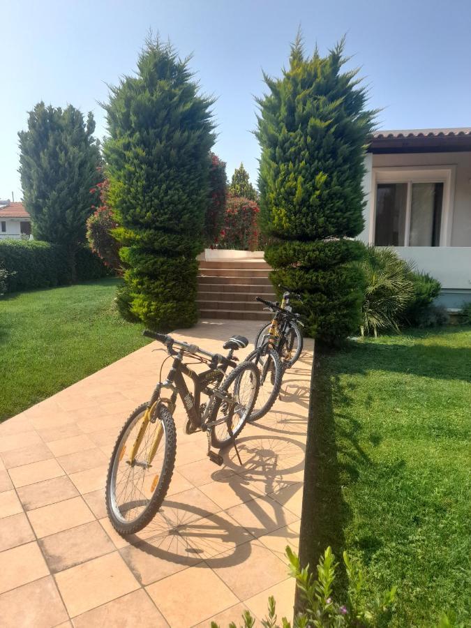 Beautiful Summer Villa In Chalkoutsi Khalkoutsion Exterior photo