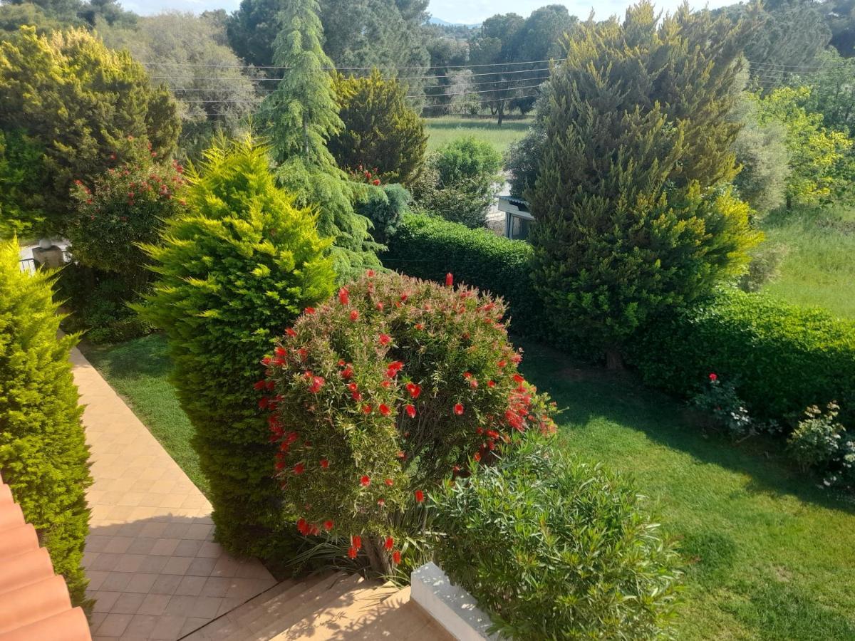 Beautiful Summer Villa In Chalkoutsi Khalkoutsion Exterior photo