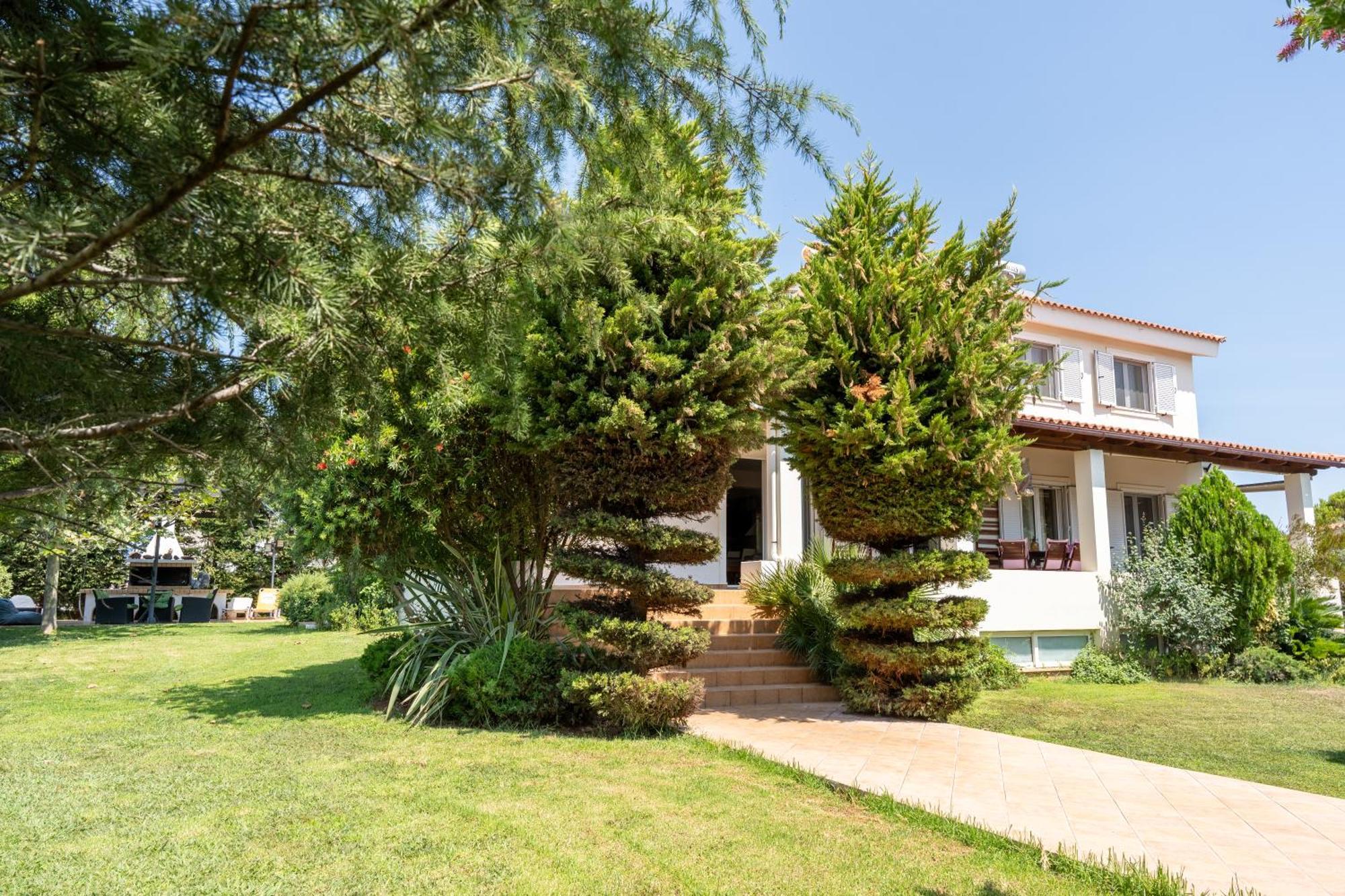 Beautiful Summer Villa In Chalkoutsi Khalkoutsion Exterior photo