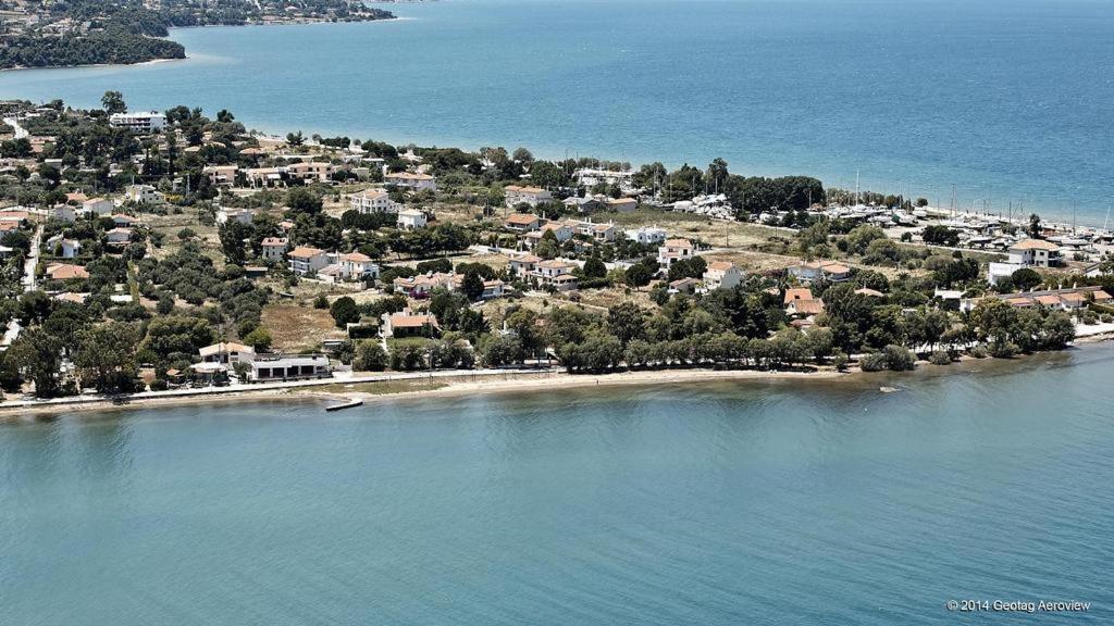 Beautiful Summer Villa In Chalkoutsi Khalkoutsion Exterior photo